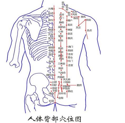 背部痣吉凶|有痣在背，长寿富贵！背上各部位痣相命理详解